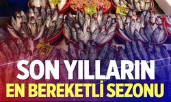 Balıkçıların yüzü bu sezon gülüyor