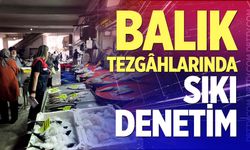 Balık Tezgâhlarında Sıkı Denetim