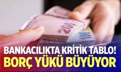 Bankacılıkta kritik tablo!