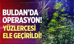 Buldan'da operasyon!