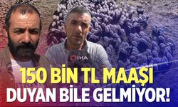 Çoban maaşları dudak uçuklattı, ama sorun çözülmedi
