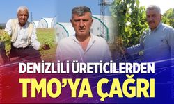 Denizlili üreticilerden TMO'ya alım çağrısı