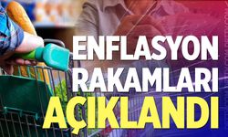 Son dakika... Ağustos ayı enflasyon verileri açıklandı
