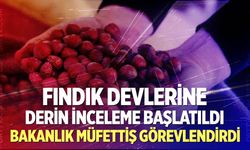 Fındık piyasasına sıkı denetim