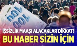 İşsizlik maaşı alacaklar dikkat!