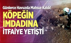 Günlerce Havuzda Mahsur Kaldı! Köpeğin İmdadına İtfaiye Yetişti