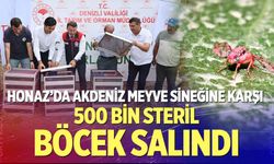 Honaz’da Akdeniz Meyve Sineğine Karşı 500 Bin Steril Böcek Salındı