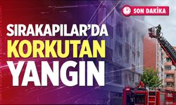 Denizli'de Korkutan Yangın