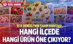 Üzümden elmaya, kekikten cevize: Denizli’nin tarım haritası