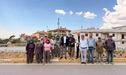 Tavas-Denizli yolunda peyzaj çalışmaları sürüyor