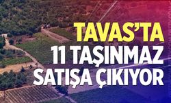 Tavas’ta 11 taşınmaz satışa çıkıyor