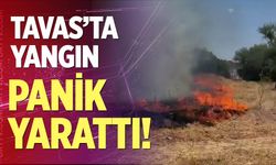 Tavas'ta yangın panik yarattı!
