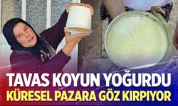 Tavas Koyun Yoğurdu Küresel Pazara Göz Kırpıyor