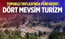 Topuklu Yaylası'nda yeni hedef: Dört mevsim turizm