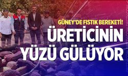 Güney’de Antep fıstığı hasadı başladı