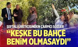 Şeftali üreticisinden çarpıcı sözler