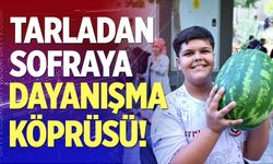 Tarladan sofraya dayanışma köprüsü
