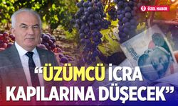 Başkan Gemici’den üzüm isyanı; “Kökten Zarar, İcra Kapılarına Düşeceğiz"