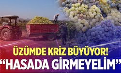 17 liralık fiyat üzüm üreticisini isyan ettirdi