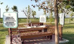 Vatandaşın bıraktığı pislik ‘sanat eseri’ olarak sergilenmeye başladı