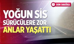 Denizli’de Yoğun Sis Sürücülere Zor Anlar Yaşattı