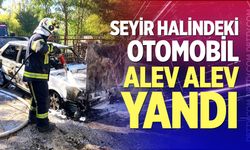 Denizli'de Seyir Halindeki Otomobil Alev Alev Yandı