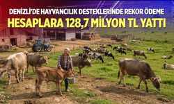 Denizli'de Hayvancılık Desteklerinde Rekor Ödeme