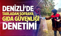 Denizli'de Tarladan Sofraya Gıda Güvenliği Denetimi