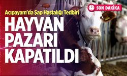 Acıpayam'da Şap Hastalığı Tedbiri: Hayvan Pazarı Kapatıldı
