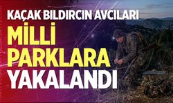 Kaçak bıldırcın avcıları Milli Parklara yakalandı