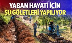 Yaban hayatı için su göletleri yapılıyor