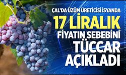 Çal’da üzüm üreticisi isyanda: 17 Liralık fiyatın sebebini tüccar açıkladı