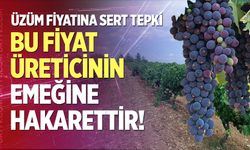 Üzüm fiyatına sert tepki: "Bu fiyat üreticinin emeğine hakarettir!"