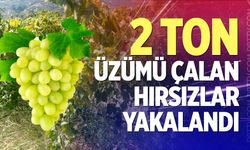 2 ton üzümü çalan hırsızlar yakalandı