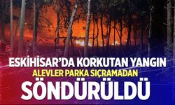 Eskihisar’da korkutan yangın