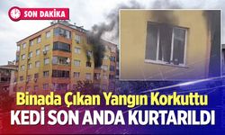 Binada Çıkan Yangın Korkuttu: Kedi Son Anda Kurtarıldı
