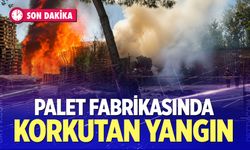 Palet fabrikasında korkutan yangın