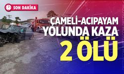 Çameli-Acıpayam yolunda kaza: 2 ölü