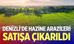 Denizli'de hazine arazileri satışa çıkarıldı