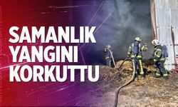 Denizli’nin Tavas İlçesinde çıkan yangın korkuttu
