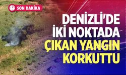 Denizli'de iki noktada çıkan yangın korkuttu