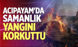 Denizli’nin Acıpayam İlçesi’nde Samanlık Yangını Korkuttu