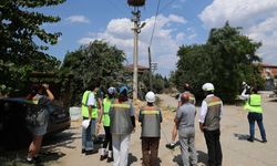 Adm ve Gdz Elektrik’ten göçmen kuşlara güvenli gökyüzü