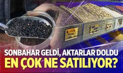 Aktarlarda sonbahar hareketliliği başladı