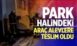 Park Halindeki Araç Alevlere Teslim Oldu