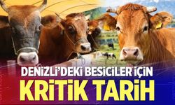 Denizli'deki besiciler için kritik tarih