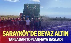 Kaymakam Pendik pamuk tarlasına indi! Sarayköy’de hasat başladı