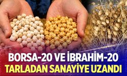 Borsa-20 ve İbrahim-20 Tarladan Sanayiye Uzandı