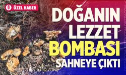 Doğanın Lezzet Bombası Sahneye Çıktı