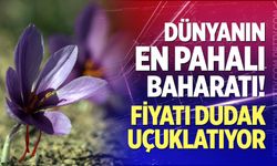 Dünyanın en pahalı baharatı! Fiyatı dudak uçuklatıyor